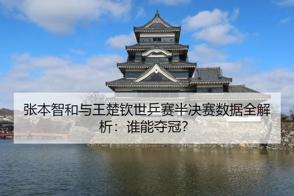 张本智和与王楚钦世乒赛半决赛数据全解析：谁能夺冠？