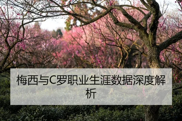 梅西与C罗职业生涯数据深度解析